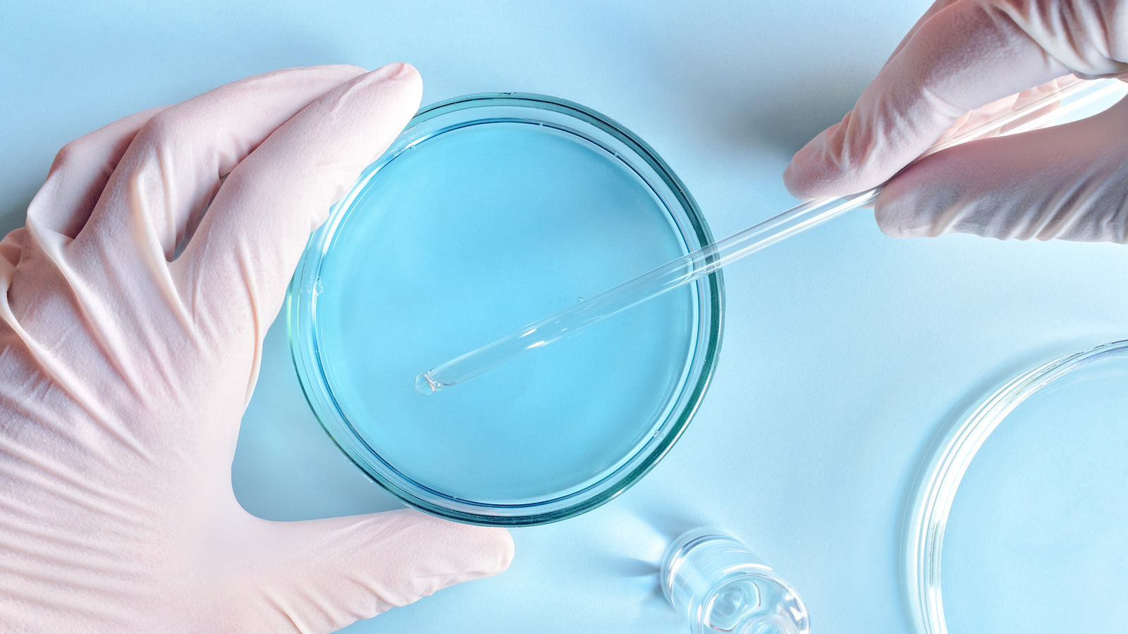 Toxic Chemicals that are Bad for You