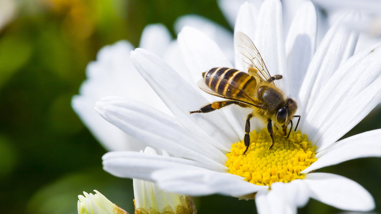 7 Outrageous Treatments for Chronic Pain Relief