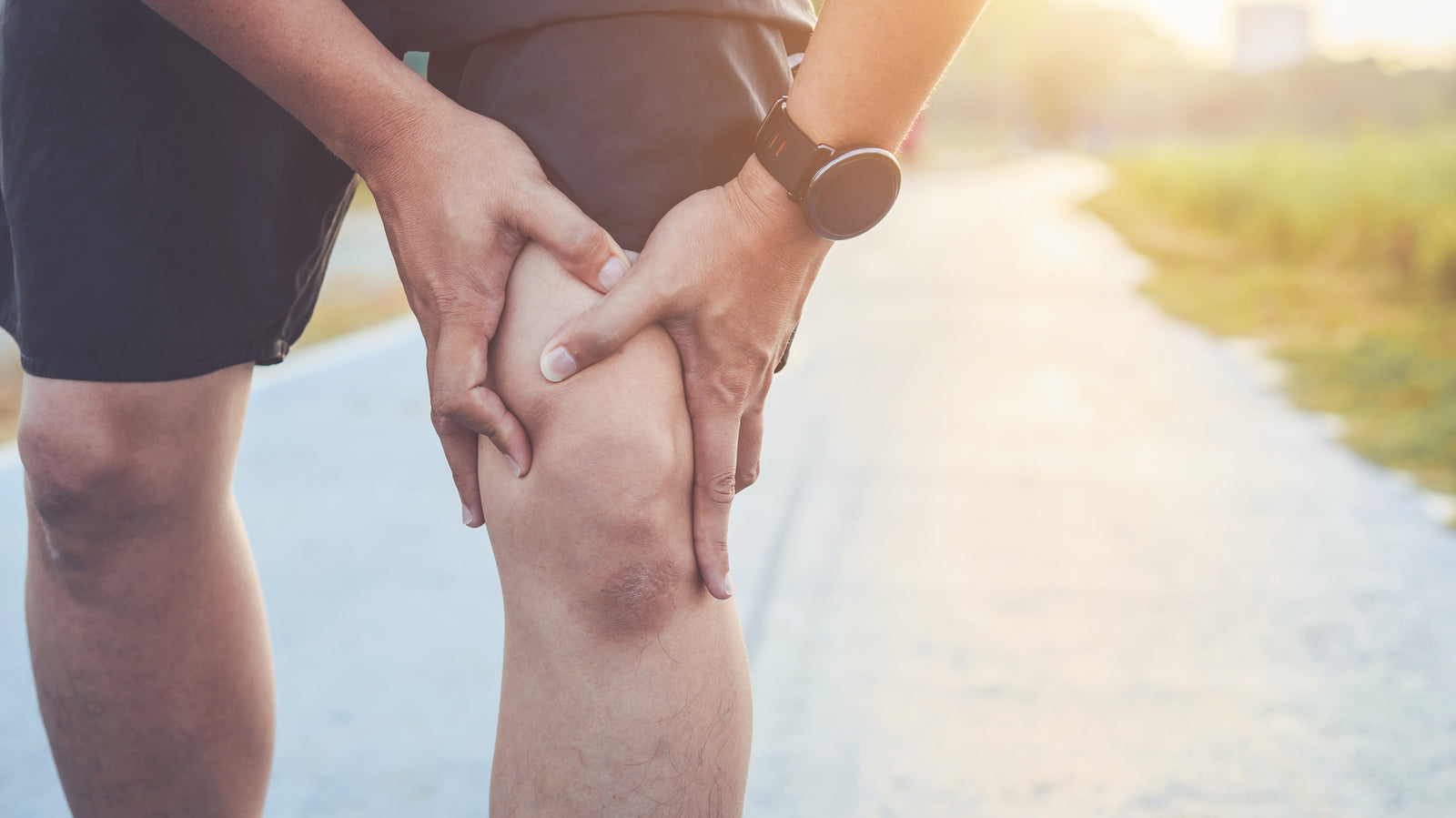 Understanding Inflammation, Finally