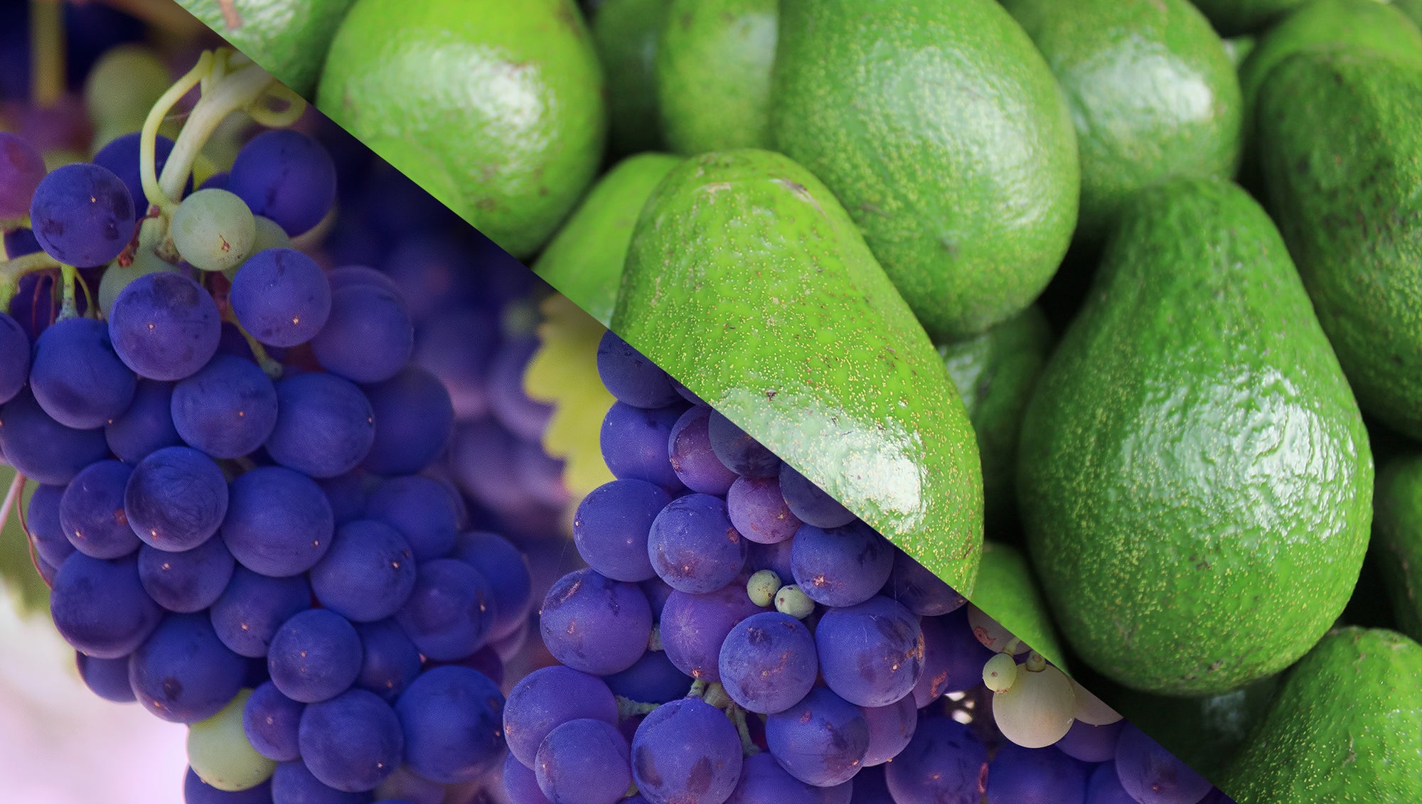The Effects of Avocados and Red Wine on Inflammation