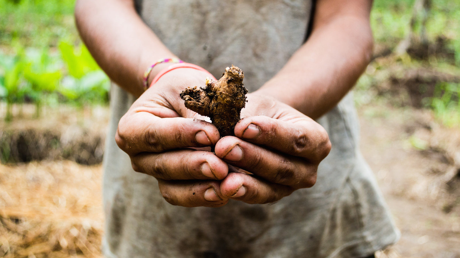 The 5 Best Foods for Arthritis