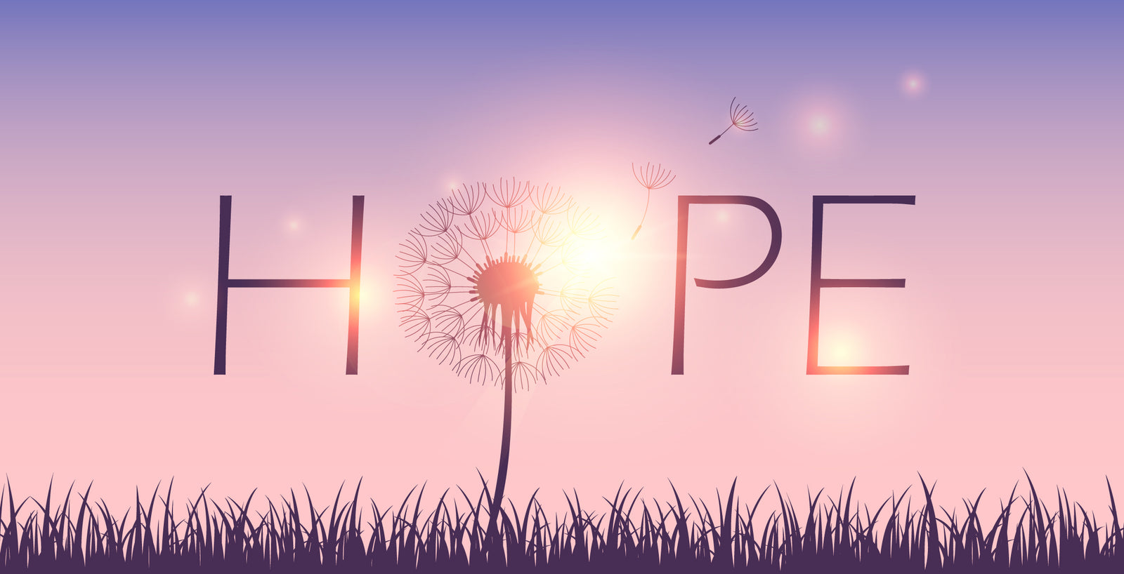 Seizing Joy - My Story With Chronic Pain