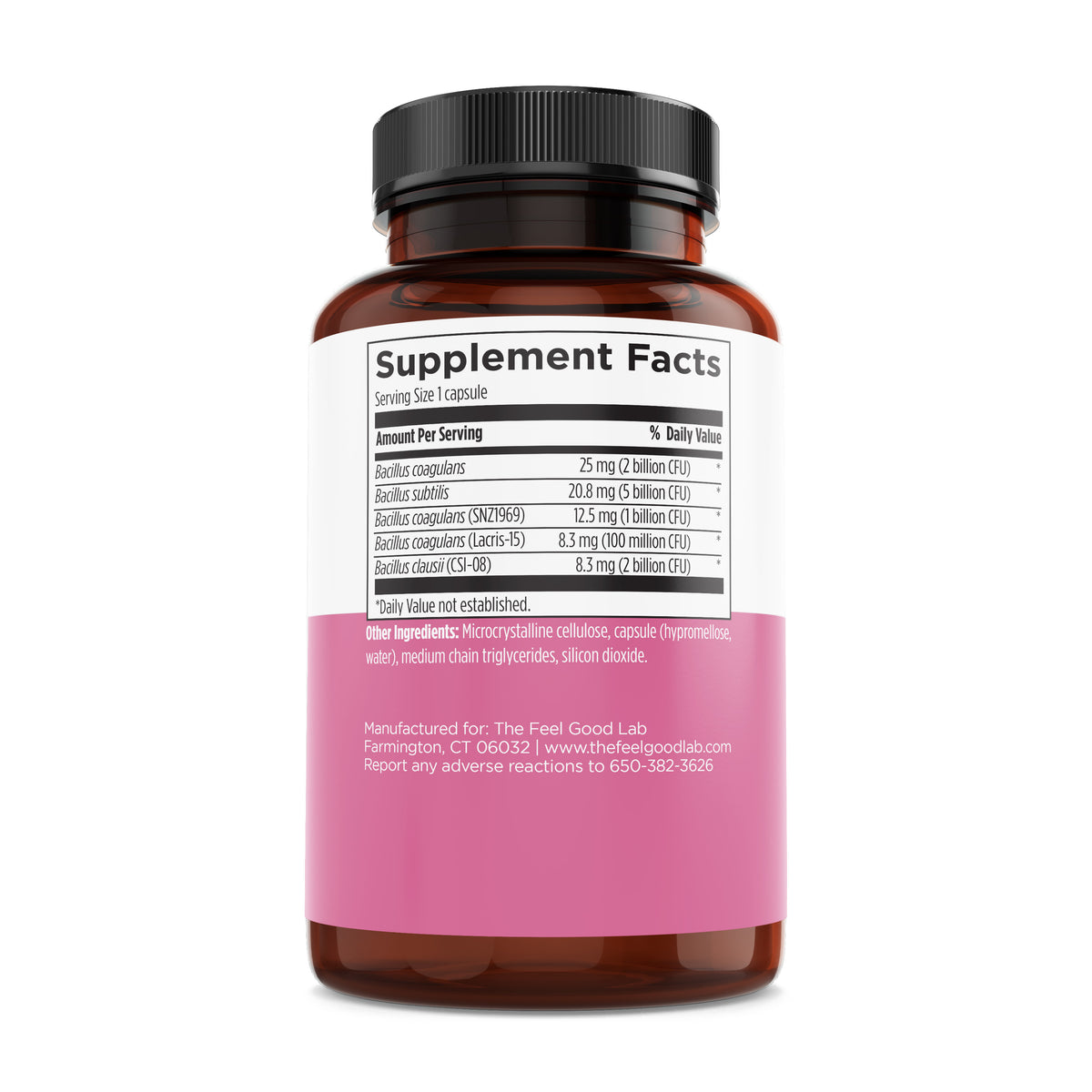 Spore Based Probiotic